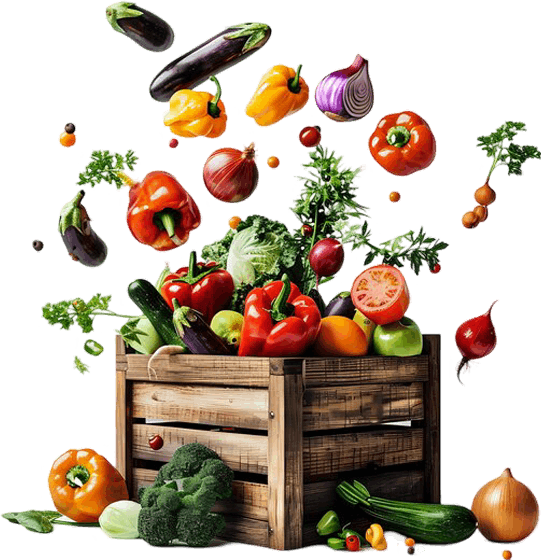 cesta de tomates y verduras